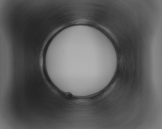 X0000100471418200807111032