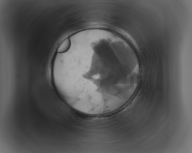 X0000100471419200807111032