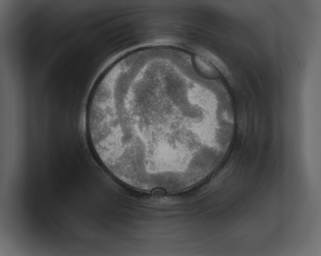 X0000100471420200807111032