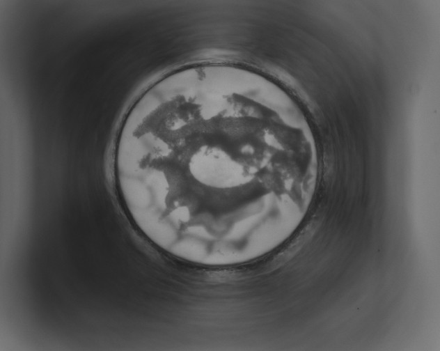 X0000100471421200807111032