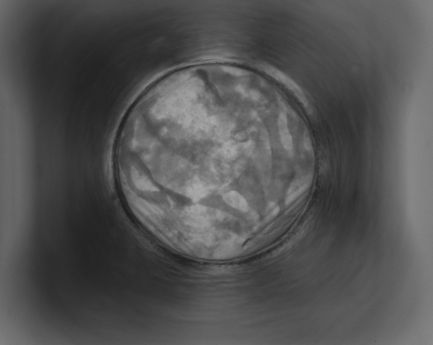 X0000100471423200807111032