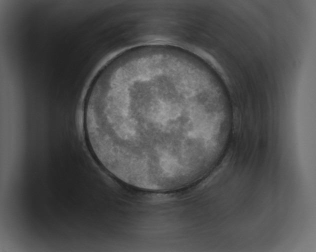 X0000100471424200807111032