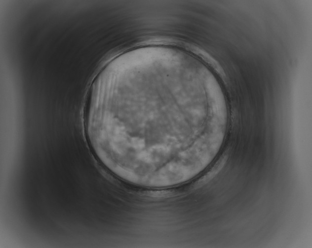 X0000100471425200807111032