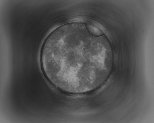 X0000100471426200807111032