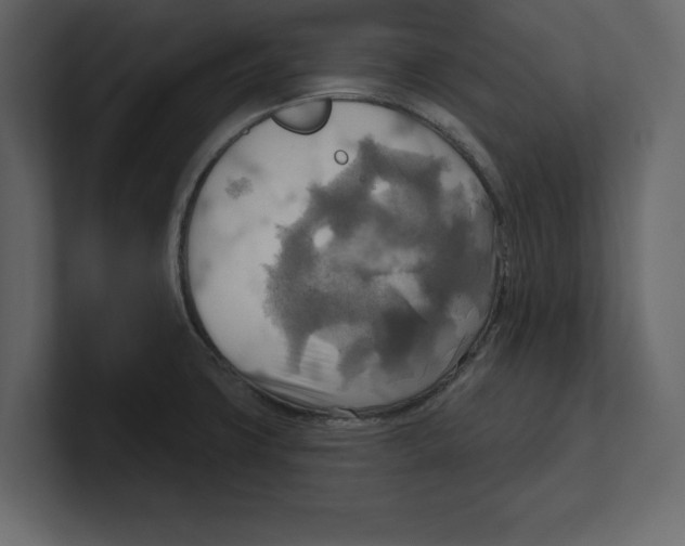 X0000100471427200807111032