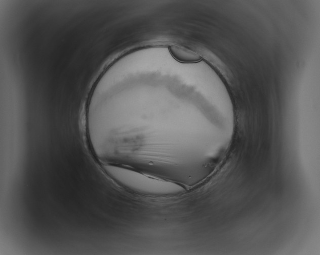 X0000100471428200807111032