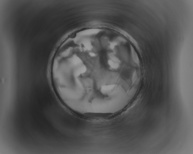 X0000100471429200807111032