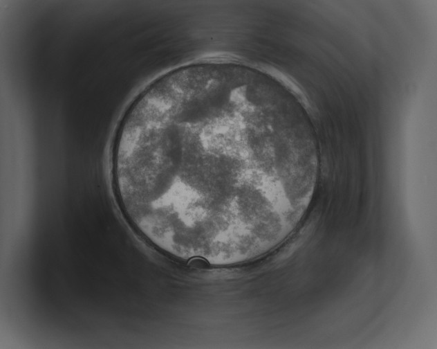 X0000100471430200807111032