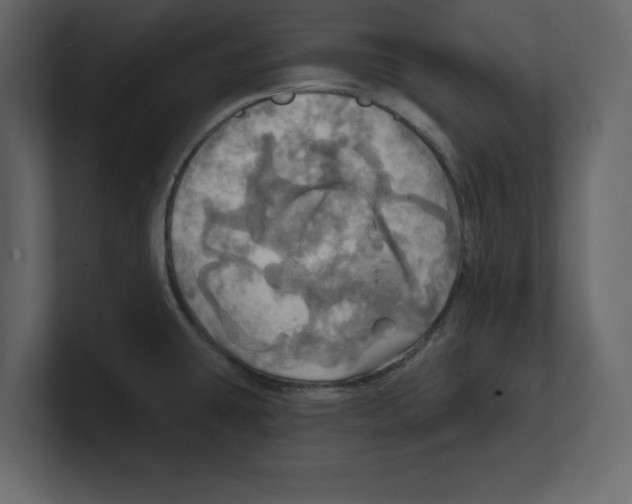 X0000100471431200807111032