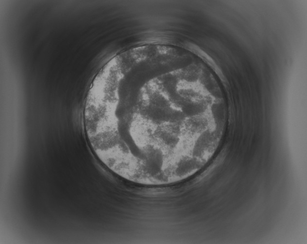 X0000100471433200807111032