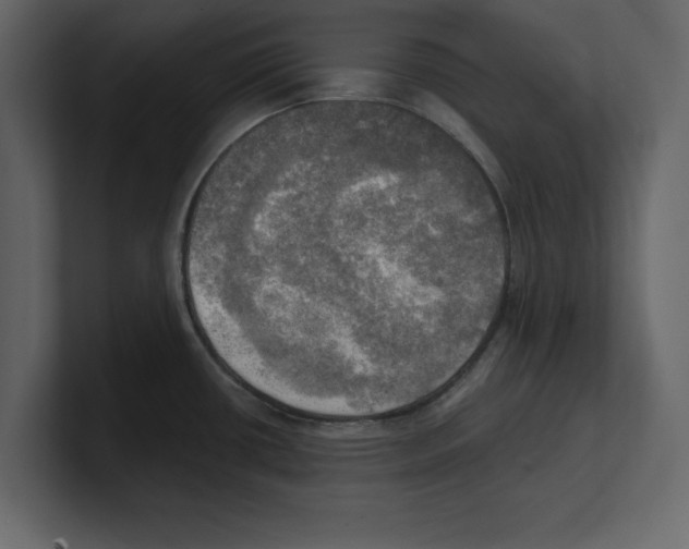 X0000100471434200807111032