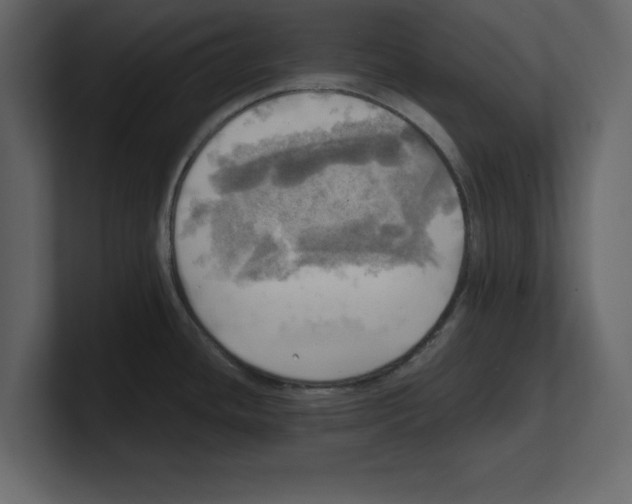 X0000100471436200807111032