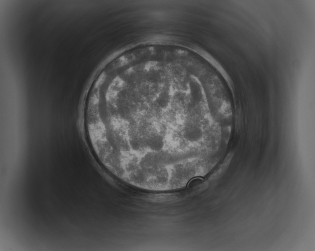 X0000100471437200807111032