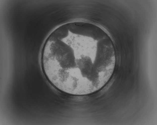 X0000100471438200807111032