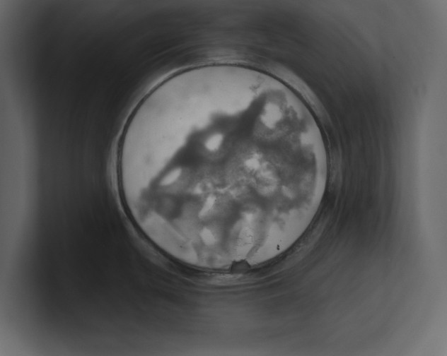 X0000100471439200807111032