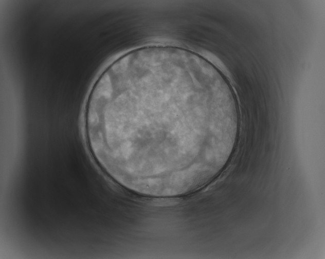 X0000100471440200807111032