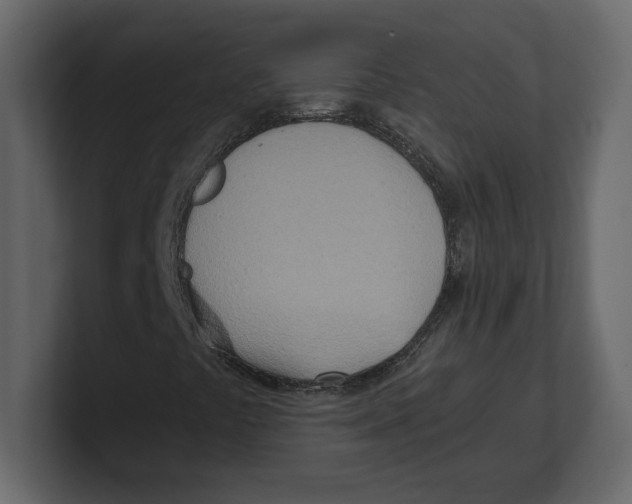 X0000100471441200807111031