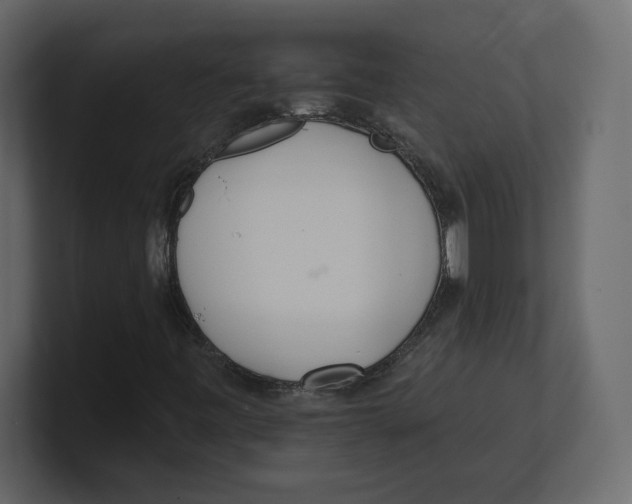 X0000100471443200807111031