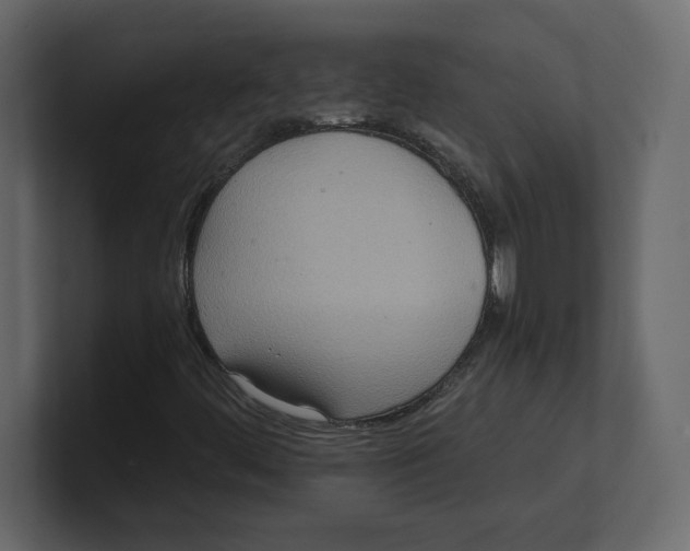 X0000100471444200807111031