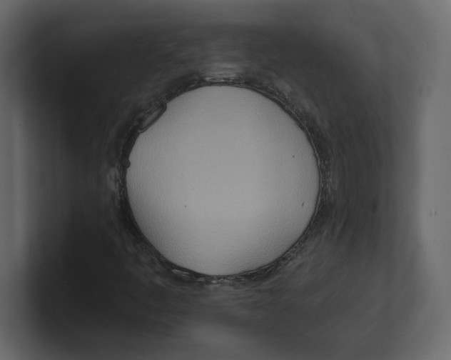 X0000100471445200807111031