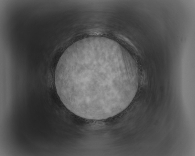 X0000100471446200807111031