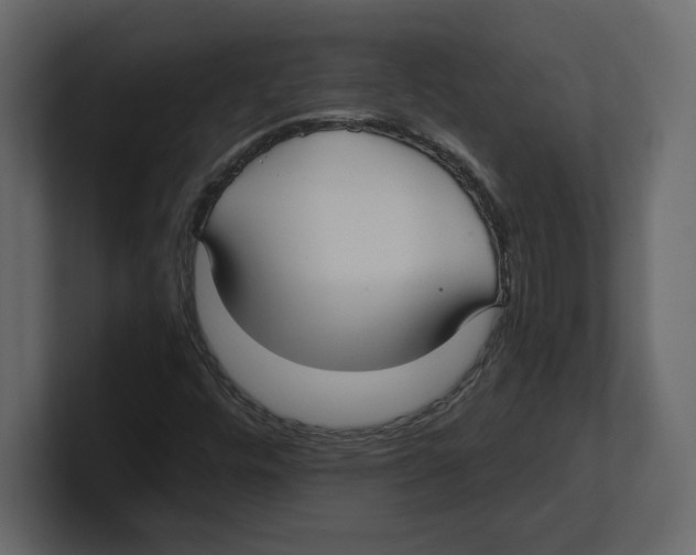 X0000100471448200807111031