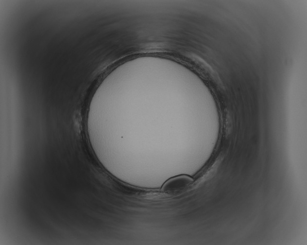 X0000100471449200807111031