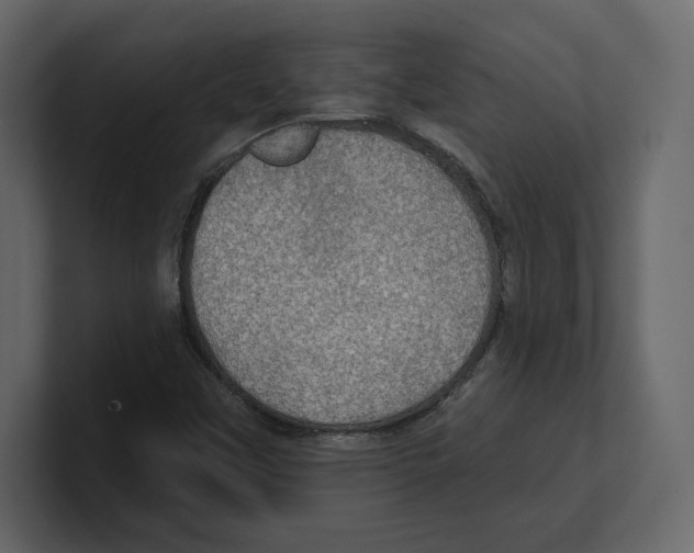 X0000100471451200807111031