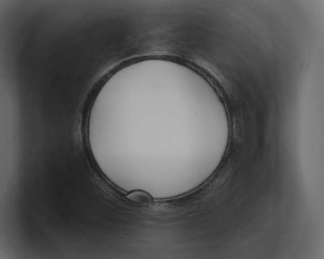 X0000100471452200807111031