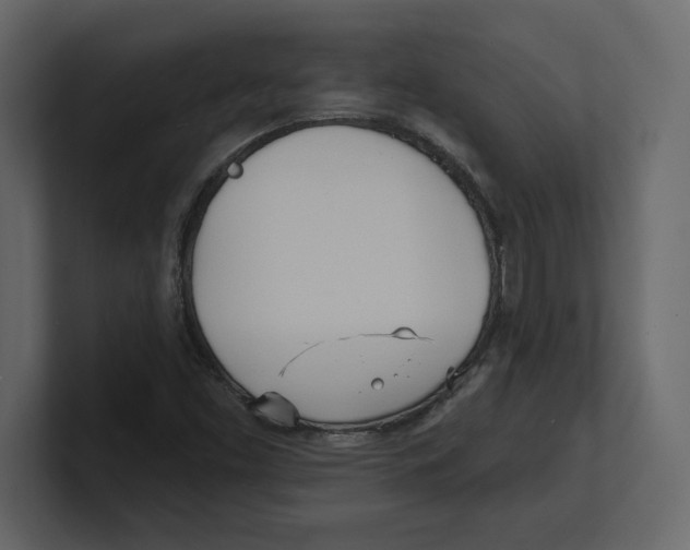 X0000100471453200807111031