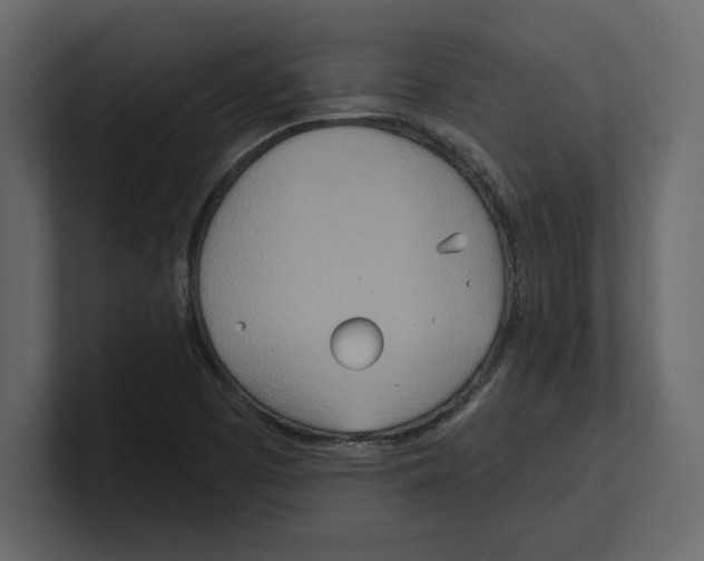 X0000100471457200807111031