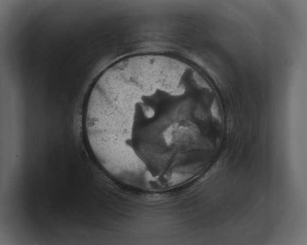 X0000100471459200807111031