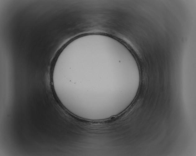 X0000100471460200807111031