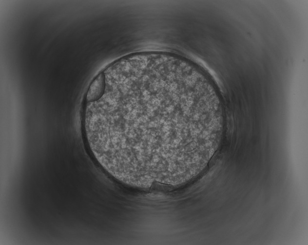 X0000100471463200807111031