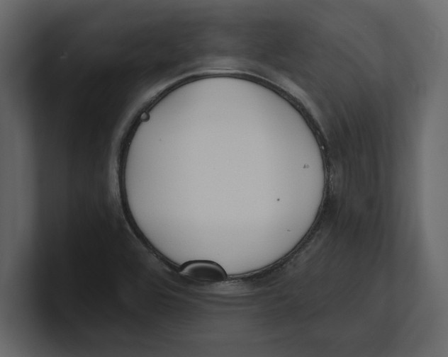 X0000100471464200807111031