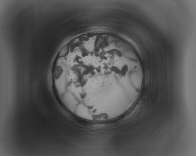 X0000100471467200807111031