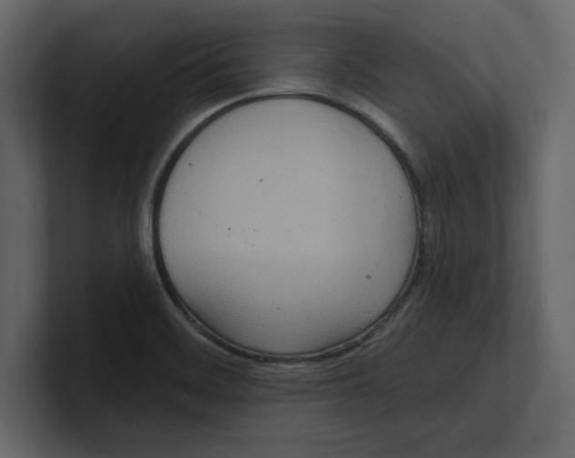 X0000100471468200807111031