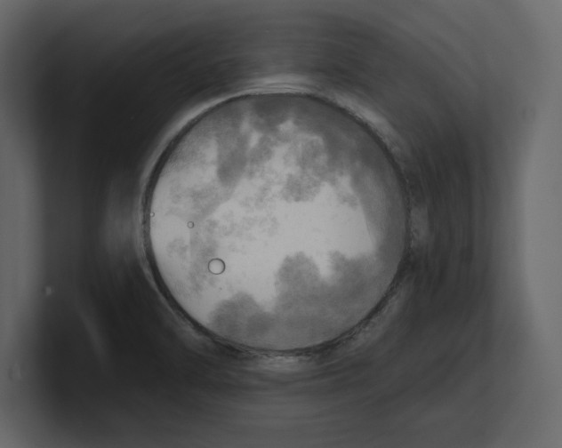 X0000100471470200807111031