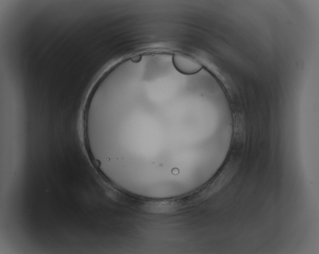 X0000100471474200807111031