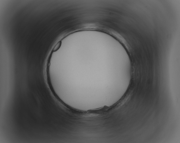 X0000100471475200807111031