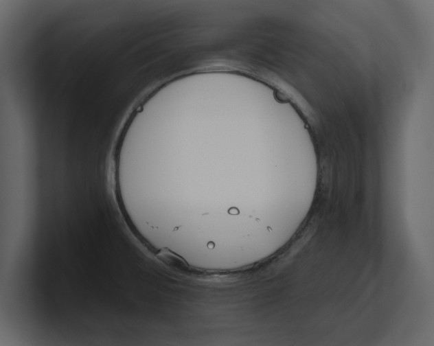 X0000100471476200807111031