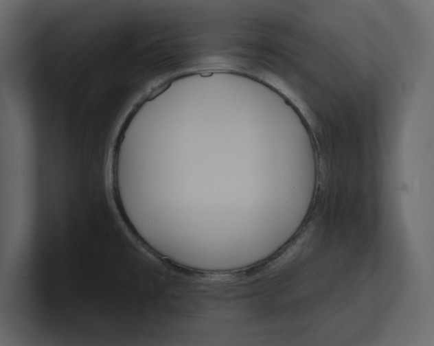 X0000100471477200807111031