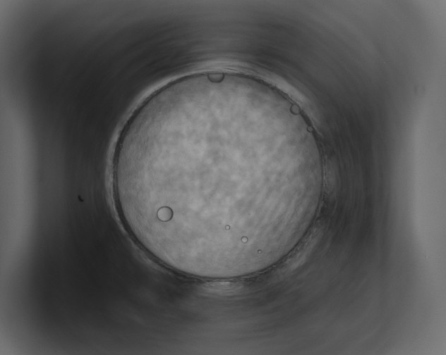 X0000100471478200807111031