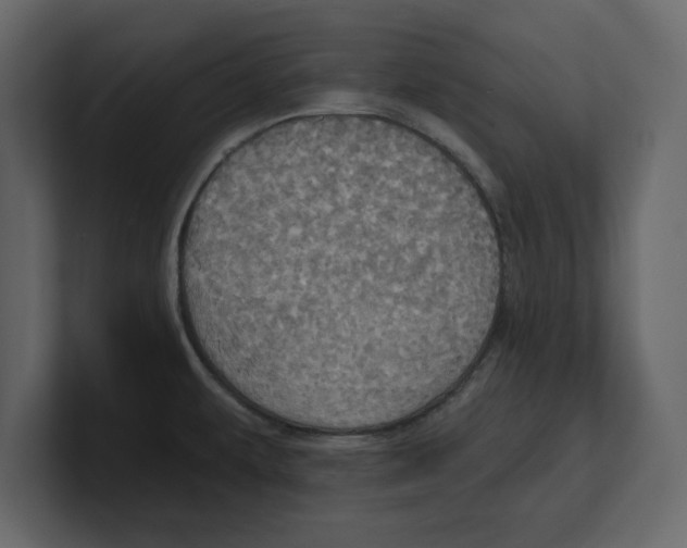 X0000100471479200807111031