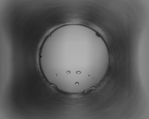 X0000100471480200807111031