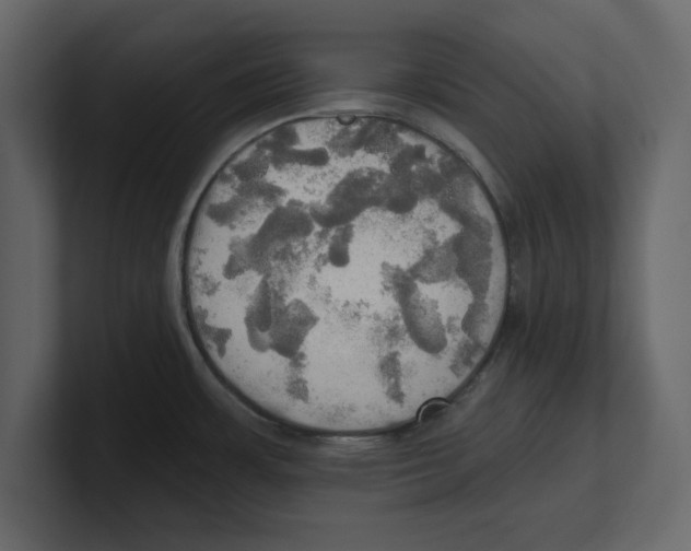 X0000100471483200807111031