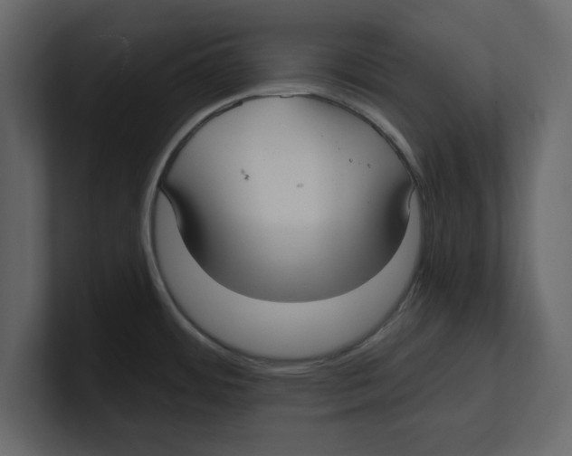 X0000100471484200807111031