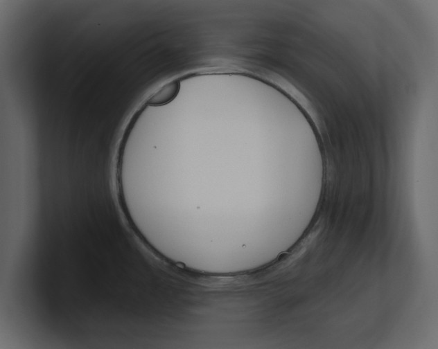 X0000100471485200807111031