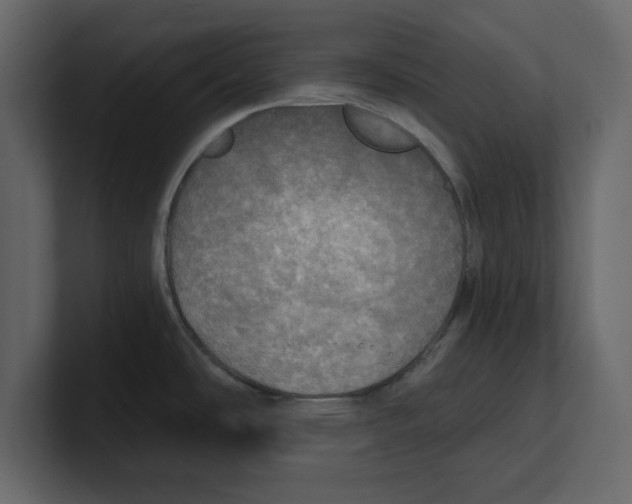 X0000100471486200807111031