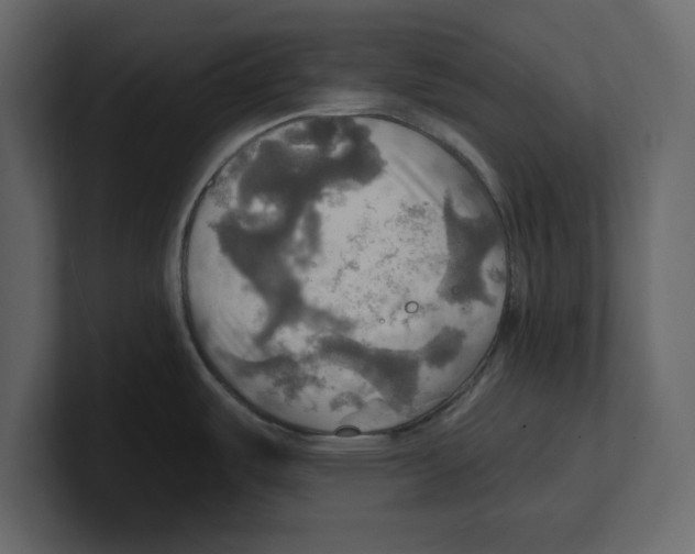 X0000100471487200807111031